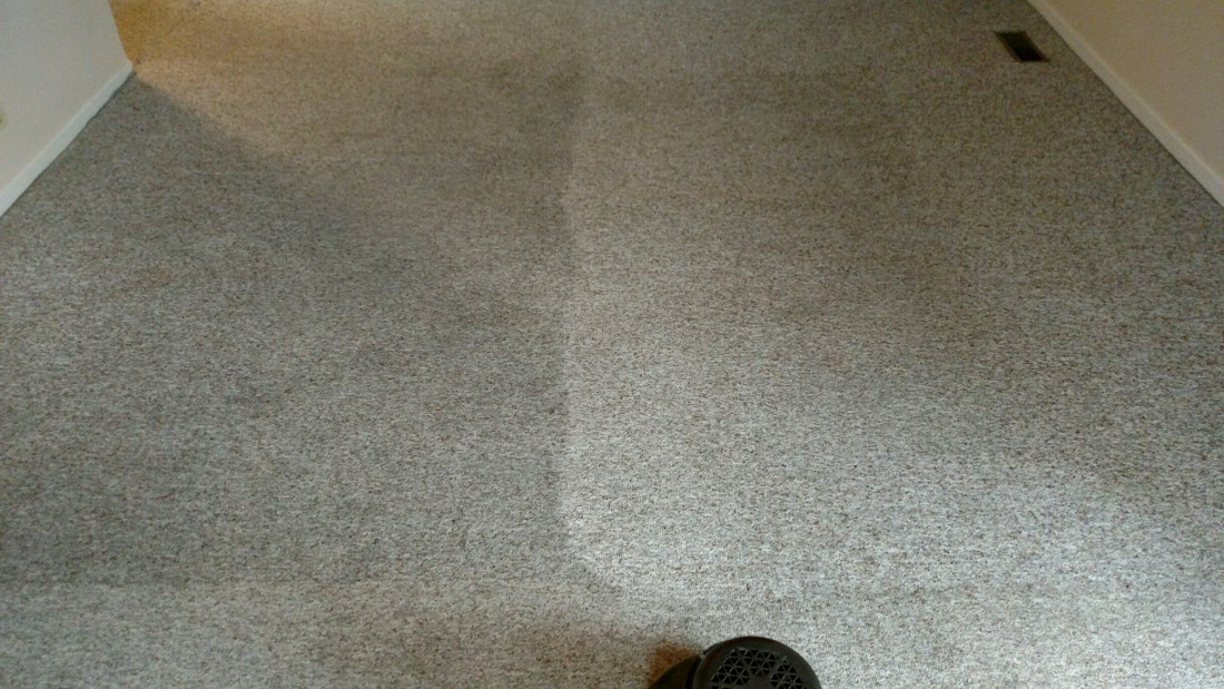 Before and After Carpet Cleaning Image